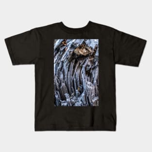 Close Up of an Old Broken Tree Kids T-Shirt